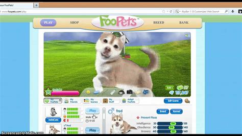 foopets game play.